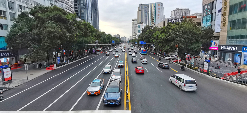 临园路道路提升工程项目
